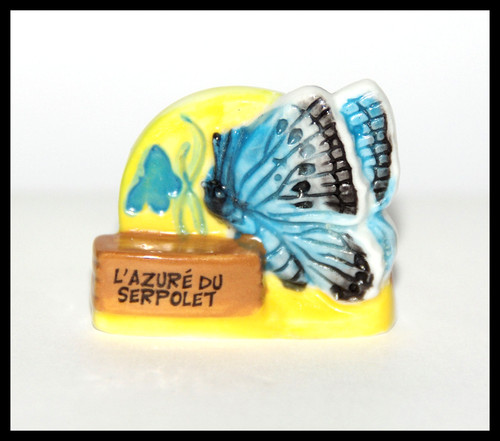 Fèves azuré du - "l'azurÉ,