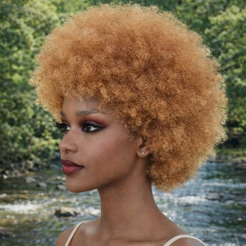 Perruque femme afro boucle - afro,