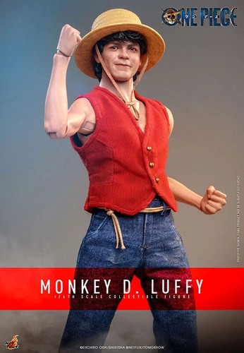 Hot toys one piece tv - «,
