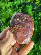 Bois Fossile Forme Libre