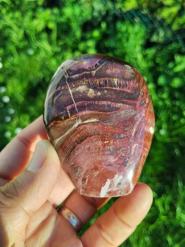 Bois fossile forme libre - fossile,