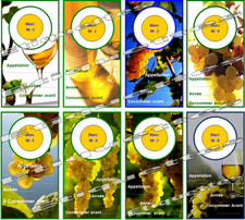 Etiquettes vin.Etiquettes bouteilles.Champagne.Cave à vin.Etiquettes goulot vin