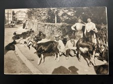 Carte Postale Ancienne»