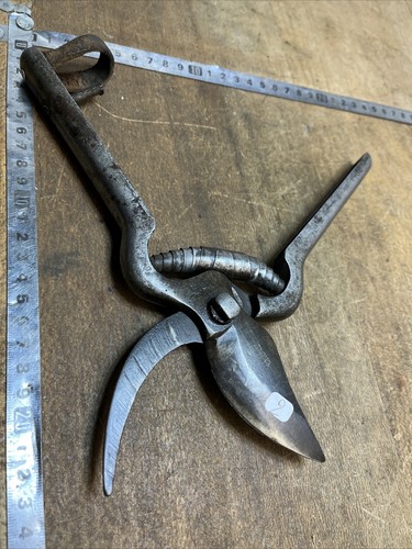 Sécateur old tool - old, outil