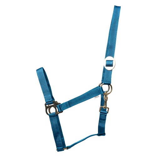 Eldorado licol pour chevaux - licol,