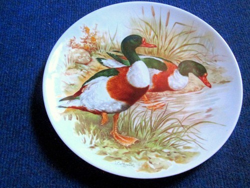 Assiette decoration canard - assiette,