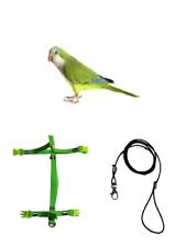 Bavoir Perroquets Taille