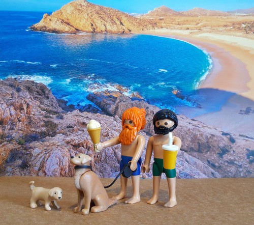 Playmobil adulte couple - adulte,