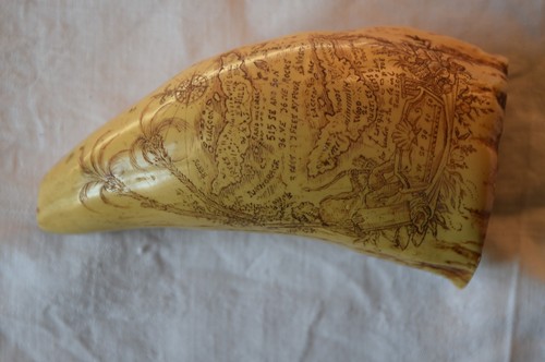 Scrimshaw dent de cachalot - :,