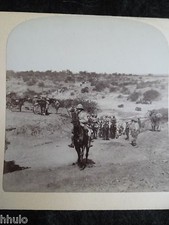 Sta165 afrique sud guerre - afrique,