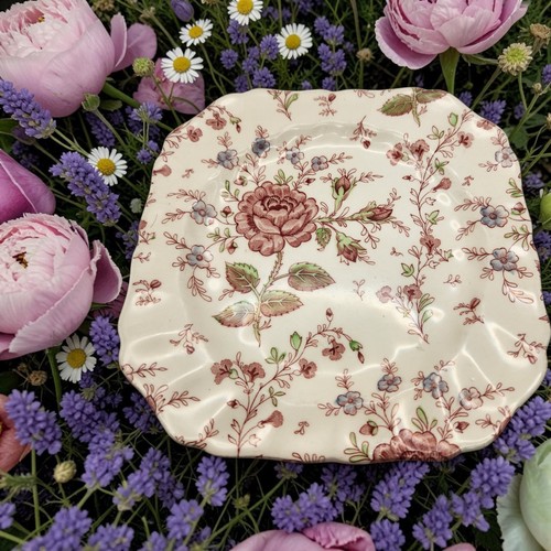 Rose chintz johnson bros - rose,