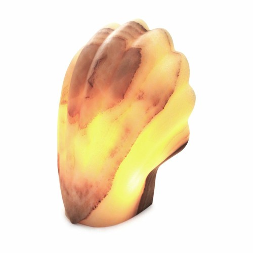 Lampe table coquille onyx - de,