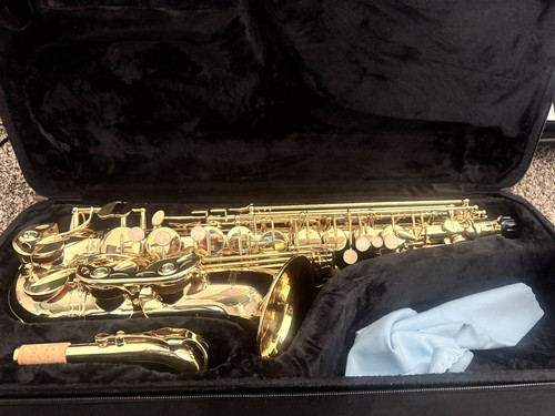 Alto saxophone - alto,