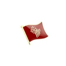 Pin's Drapeau région de France - Languedoc Roussillon - en Acier - Drapeaux - Cé