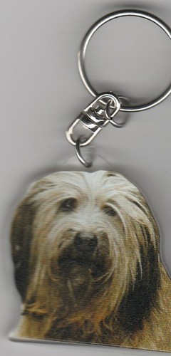 Berger catalan chien porte - berger,