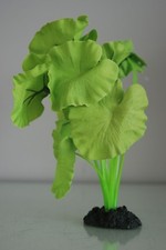 Aquarium Lotus Feuille Vert