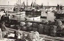 29 LESCONIL CASIERS A HOMARDS