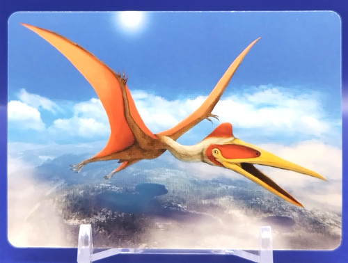 Cartes quetzalcoatlus - cartes, /