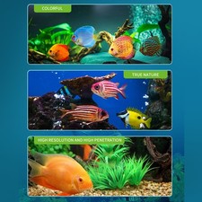 LED Aquarium Light Color