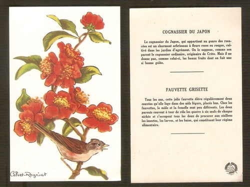 Calvet rogniat carte bon - calvet-rogniat,