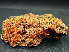 CROCOITE - DUNDAS, TASMANIE, AUSTRALIE - 6 x 3,5 cm - 34 g
