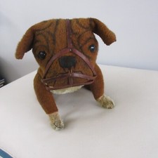 1906: bulldog with muzzle