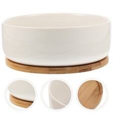  Pot succulent Pot de plante