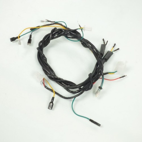 Faisceau électrique pour