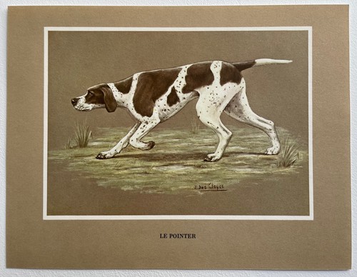 Chiens race pointer - chiens, le
