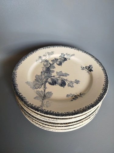 Assiettes faïence - 10,