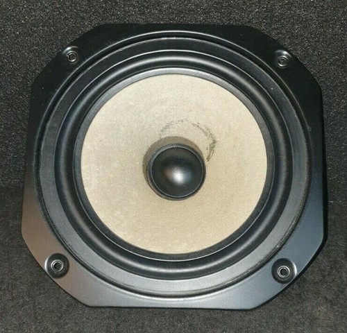 Woofer wharfedale program - woofer,