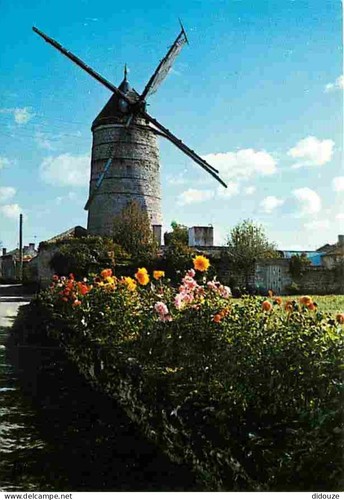Carte postale doué la - 49,