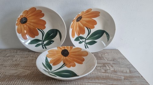 Assiettes creuses la - 3,