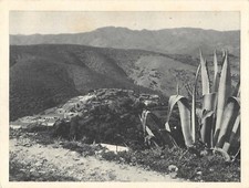 CPA GUERRE ALGERIE NEDROMA