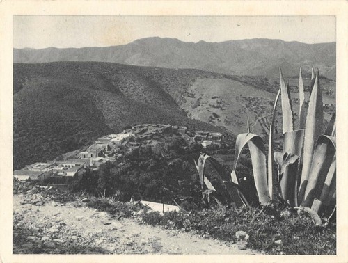 Cpa guerre algerie nedroma - cpa,