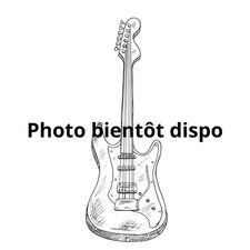 Corps Telecaster Butterscotch