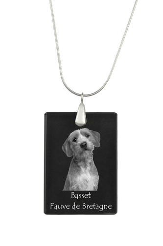 Basset fauve bretagne - basset, de