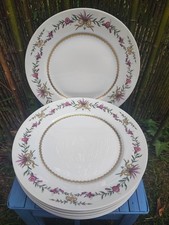 6 assiettes plates porcelaine
