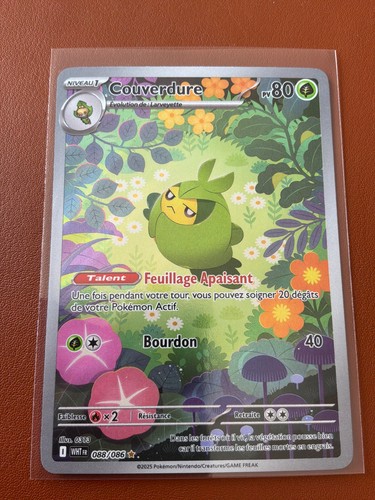 Carte pokémon full - ar,