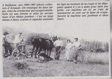 1984  --  TRAVAUX AGRICOLES A