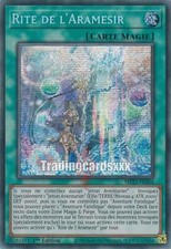 Yu-Gi-Oh! Rite de l'Aramesir : PSE MP23-FR264