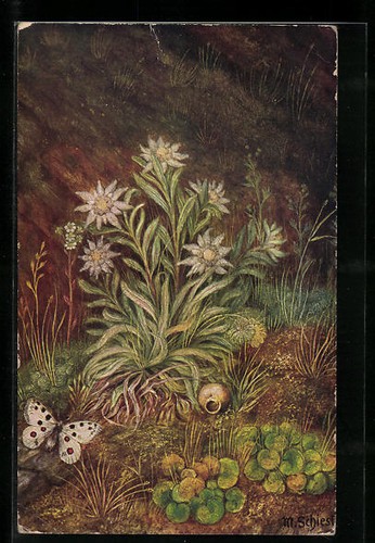 Carte postale artiste - carte,