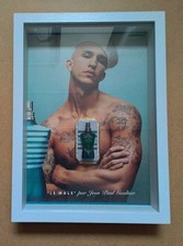 Miniature ’le Male’