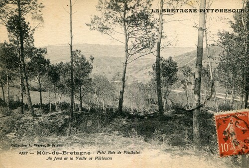 Carte mur bretagne petit - de,
