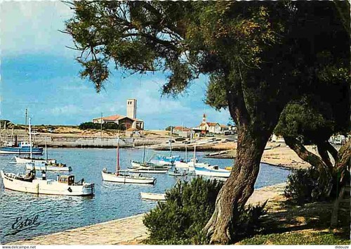 Carte postale ile - carte,