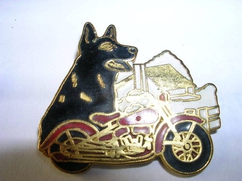 Pin moto harley davidson - moto,