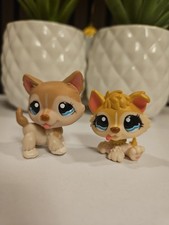 ✨️Authentique Littlest Pet