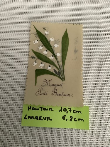 Muguet porte bonheur - muguet,