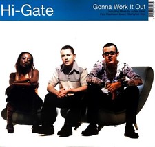 Hi-Gate - Gonna Work It Out - 2001 - Vinyle 12" Maxi 45 Tours Rpm - Hard Trance