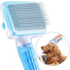 Brosse Chiens Chats pour Toilettage Poils Morts